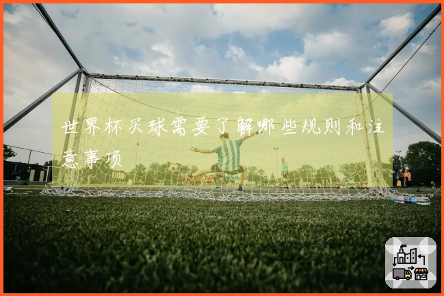 世界杯买球需要了解哪些规则和注意事项