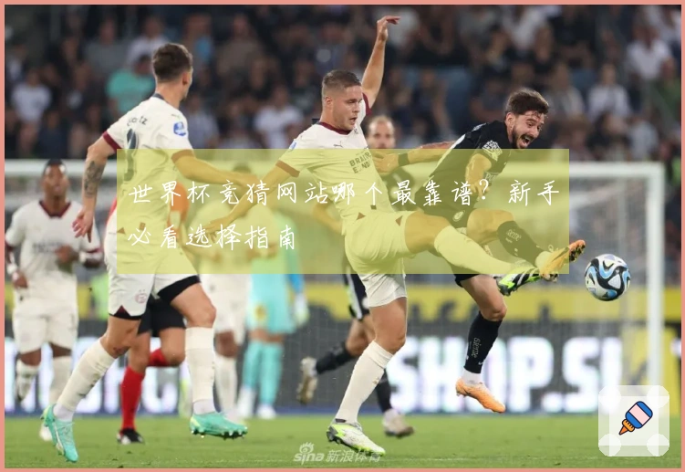 世界杯竞猜网站哪个最靠谱？新手必看选择指南