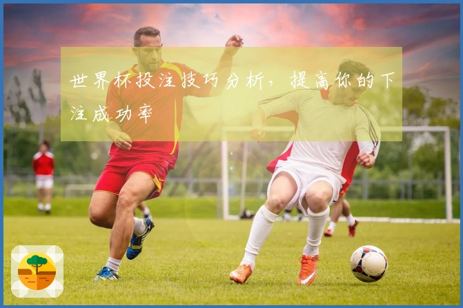 世界杯投注技巧分析，提高你的下注成功率