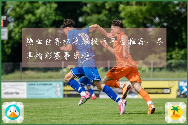 热血世界杯滚球投注平台推荐，尽享精彩赛事乐趣