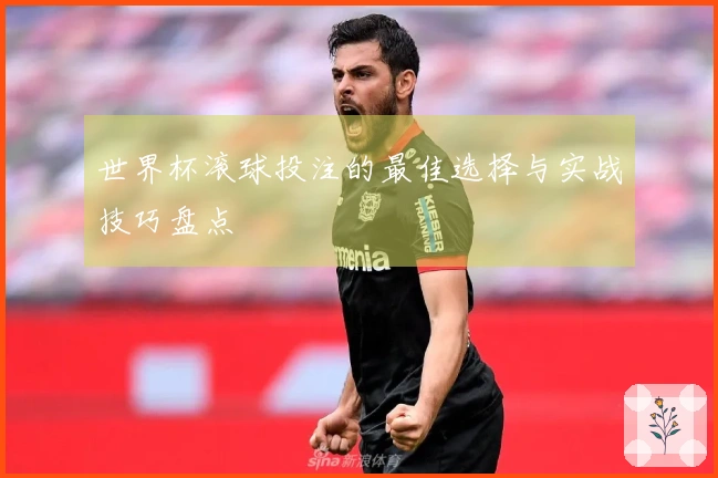 世界杯滚球投注的最佳选择与实战技巧盘点